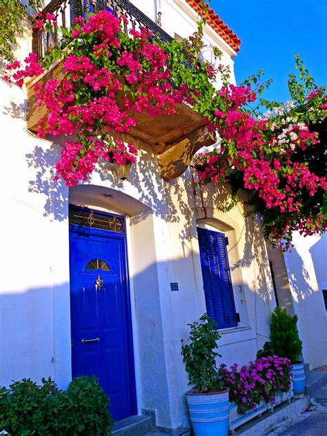 Explore Colorful Bougainvillea for Balcony Gardens