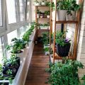 Explore Container Gardening: A Balcony Guide