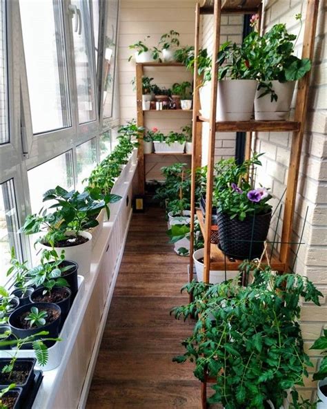 Explore Container Gardening: A Balcony Guide