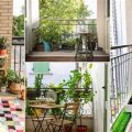 Explore The World Of Indoor Plants For Balconies