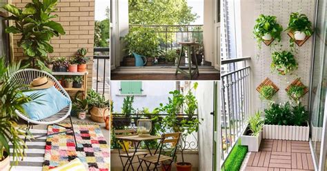 Explore The World Of Indoor Plants For Balconies