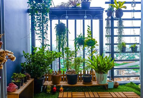 Exploring The Benefits Of Balcony Gardening