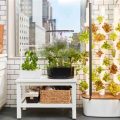 Exploring The Benefits Of Indoor-Outdoor Gardening