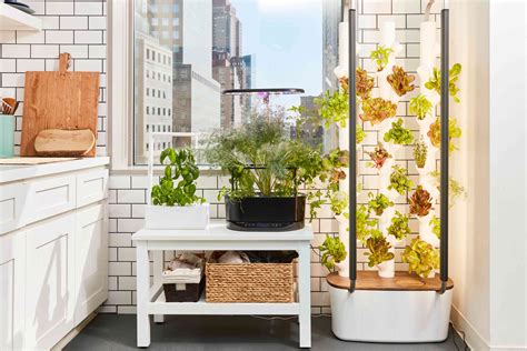 Exploring The Benefits Of Indoor-Outdoor Gardening