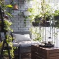 Fall Gardening Hacks For Your Balcony