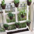 Grow Fresh Vegetables On Your Balcony