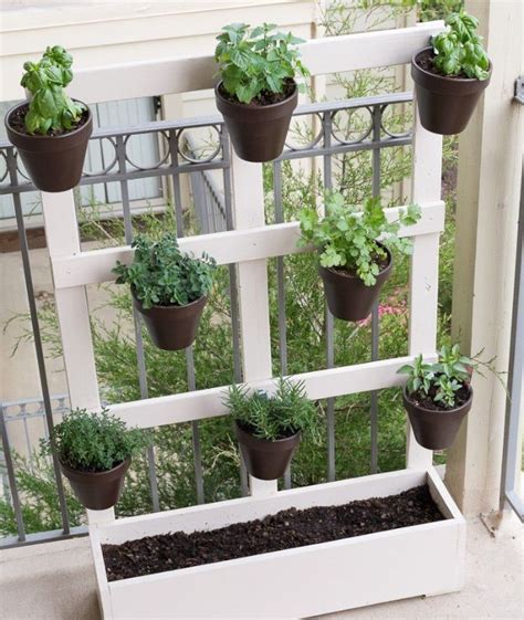 Grow Fresh Vegetables On Your Balcony