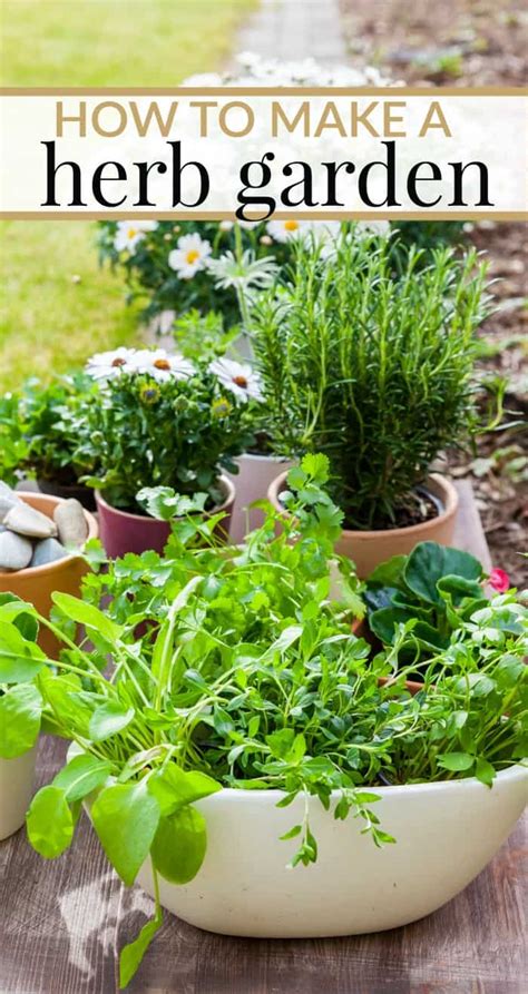 Grow Your Own Spice Garden On Your Balcony