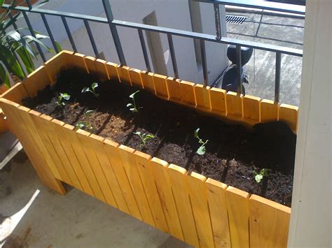 Growing Organic Vegetables On Your Balcony