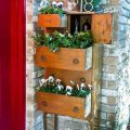 Growing Plants In Repurposed Furniture On Your Balcony