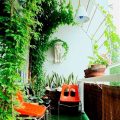 Growing Tropical Plants On Your Balcony