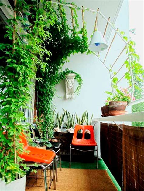 Growing Tropical Plants On Your Balcony