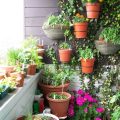 How To Add Vertical Space To Your Balcony Garden