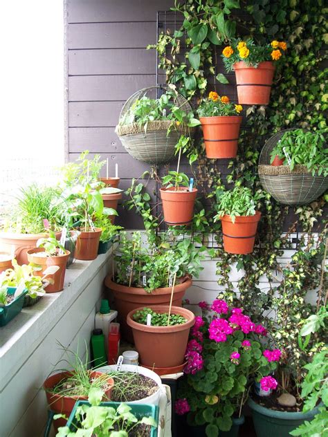 How To Add Vertical Space To Your Balcony Garden