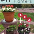 How to Arrange Plants for Maximum Impact