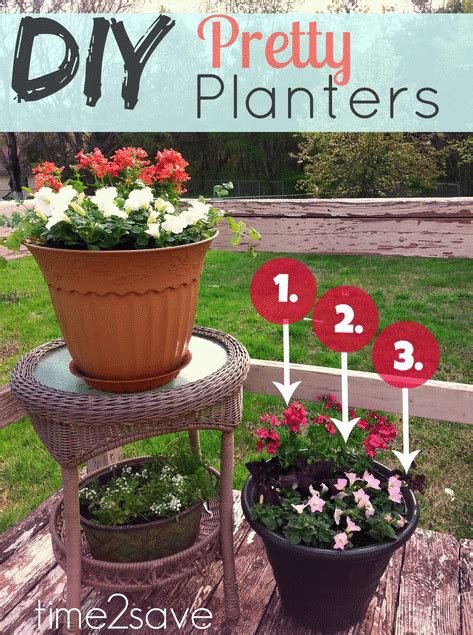 How to Arrange Plants for Maximum Impact