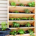 How To Build A DIY Vertical Garden For Your Balcony