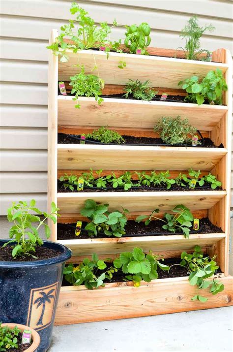 How To Build A DIY Vertical Garden For Your Balcony