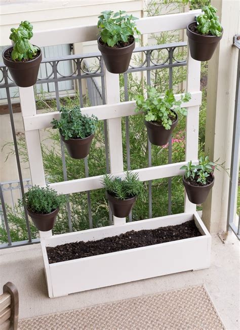 How to Build a Simple Vertical Garden on Your Balcony