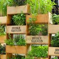 How To Build A Vertical Garden On Your Balcony