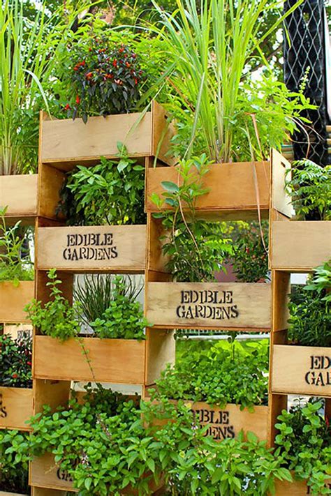 How to Build a Vertical Garden on Your Balcony