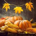 How to Celebrate Harvest Season on Your Balcony