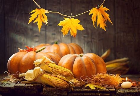 How to Celebrate Harvest Season on Your Balcony