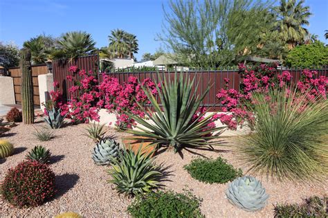 How To Choose Drought-Tolerant Plants For Your Balcony