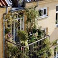 How To Choose Native Plants For Your Balcony Garden