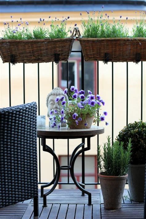 How To Choose Perennial Plants For Your Balcony