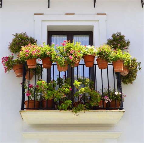 How To Choose Plants Based On Your Balcony Exposure