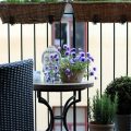 How To Choose Plants Based On Your Balcony’s Orientation