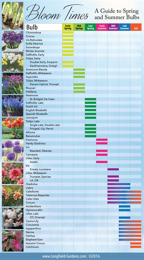 How To Choose Plants That Bloom At Different Times