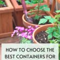 How to Choose the Best Containers for Your Plants