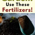 How to Choose the Best Fertilizer for Your Balcony Garden