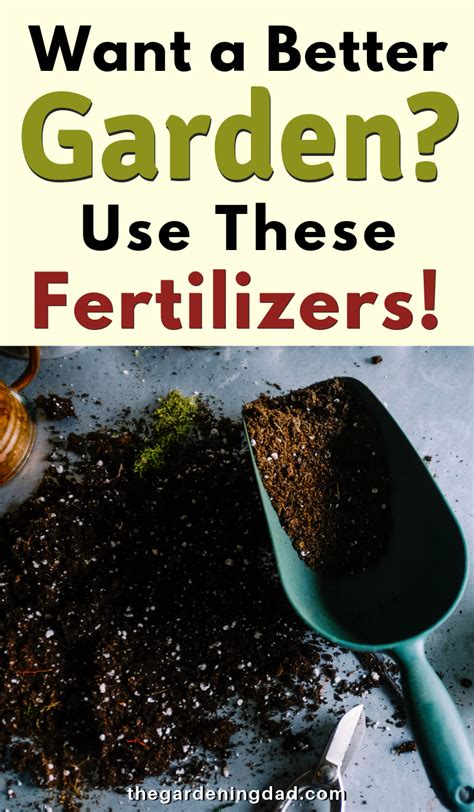 How to Choose the Best Fertilizer for Your Balcony Garden