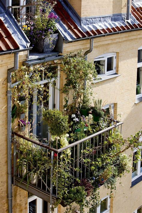 How To Choose The Best Plants For Urban Balconies