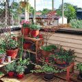 How To Choose The Right Containers For Your Balcony