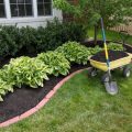 How To Choose The Right Mulch For Your Balcony Plants