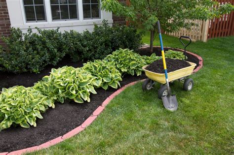 How To Choose The Right Mulch For Your Balcony Plants