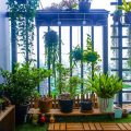 How To Choose The Right Plants For Your Balcony’s Sunlight Conditions