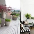 How To Choose The Right Pots For Your Balcony