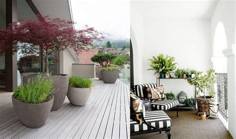 How To Choose The Right Pots For Your Balcony