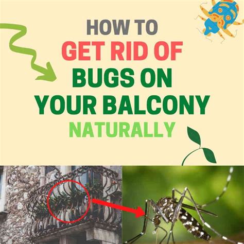 How To Combat Pests In Your Balcony Garden Naturally