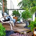 How to Create a Balcony Oasis with Plants