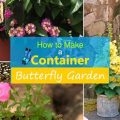 How To Create A Butterfly-Friendly Balcony Garden