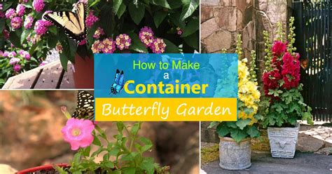 How To Create A Butterfly-Friendly Balcony Garden