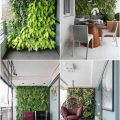 How To Create A Green Wall On Your Balcony