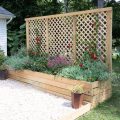 How to Create a Natural Privacy Screen with Plants