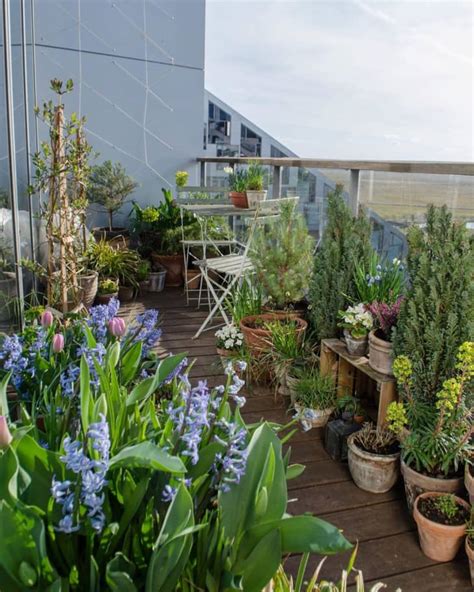 How To Create A Plant-Friendly Balcony Environment